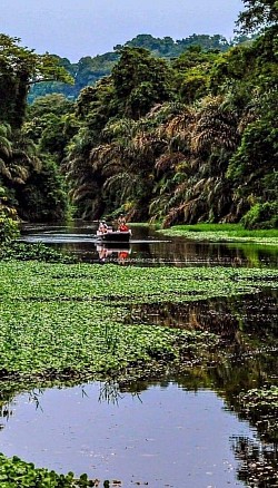 Tortuguero National Park