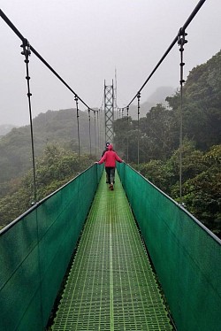 MONTE VERDE PUNTARENAS