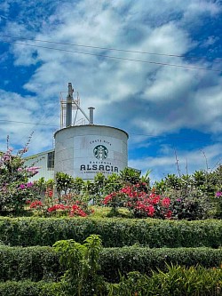 ALSACIA COFFE TOUR