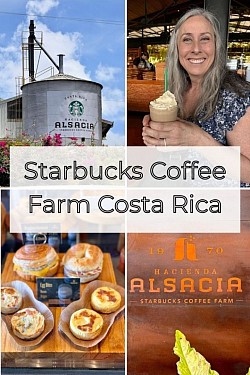 COFFE Y CHOCOLATE TOURS