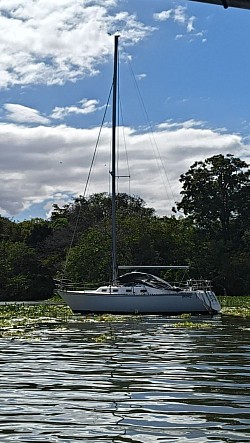 Velero  solitario