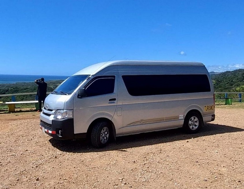 Mini van